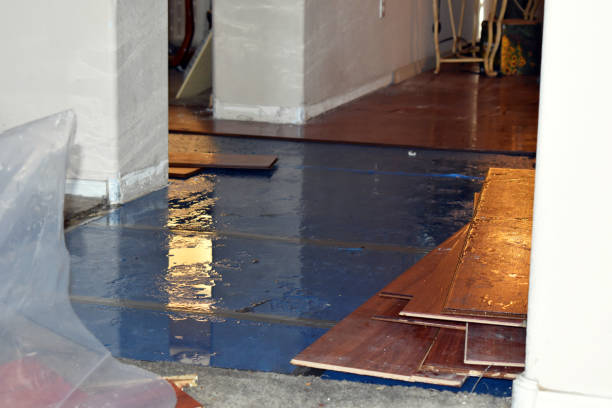 Professional Water Damage Restoration technician working in Snyder, TX